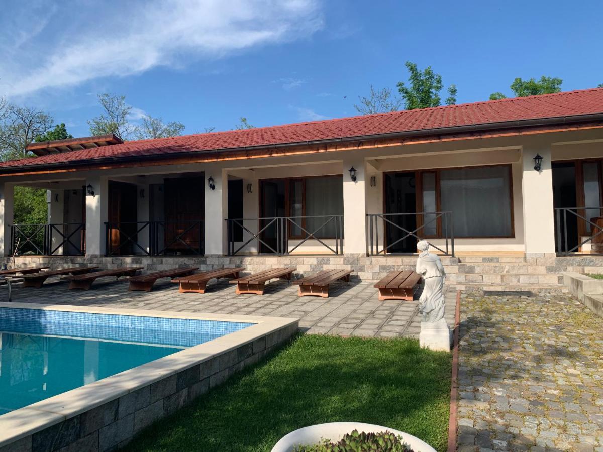 Casa Romana Ieşelniţa Extérieur photo