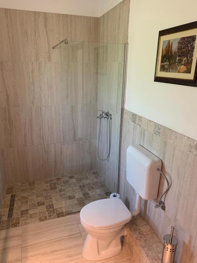 Casa Romana Ieşelniţa Extérieur photo