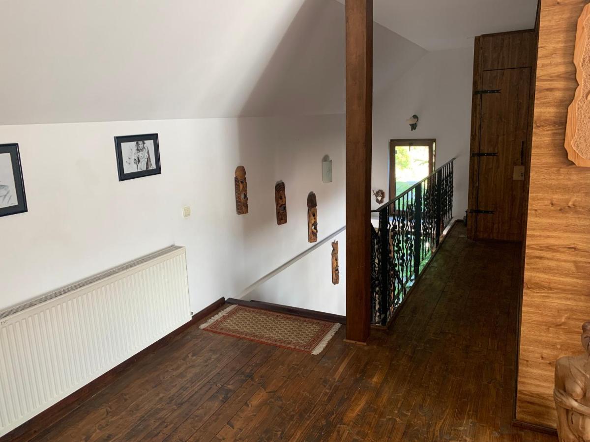 Casa Romana Ieşelniţa Extérieur photo