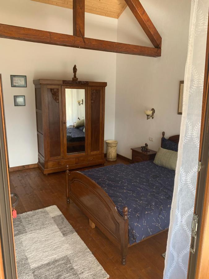 Casa Romana Ieşelniţa Extérieur photo