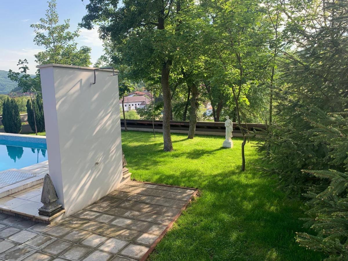 Casa Romana Ieşelniţa Extérieur photo