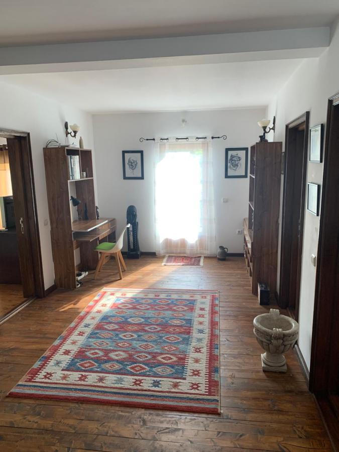 Casa Romana Ieşelniţa Extérieur photo