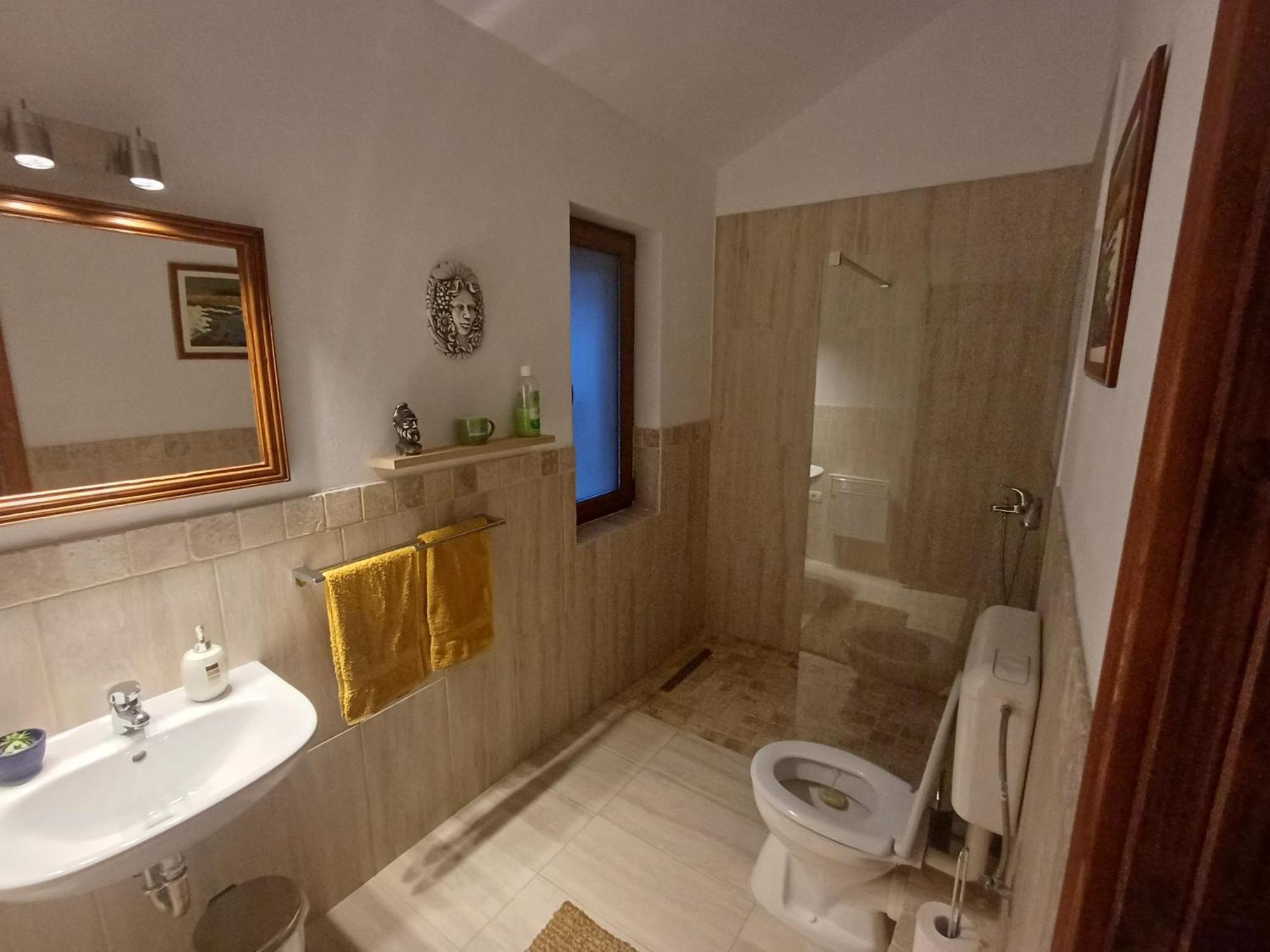 Casa Romana Ieşelniţa Extérieur photo