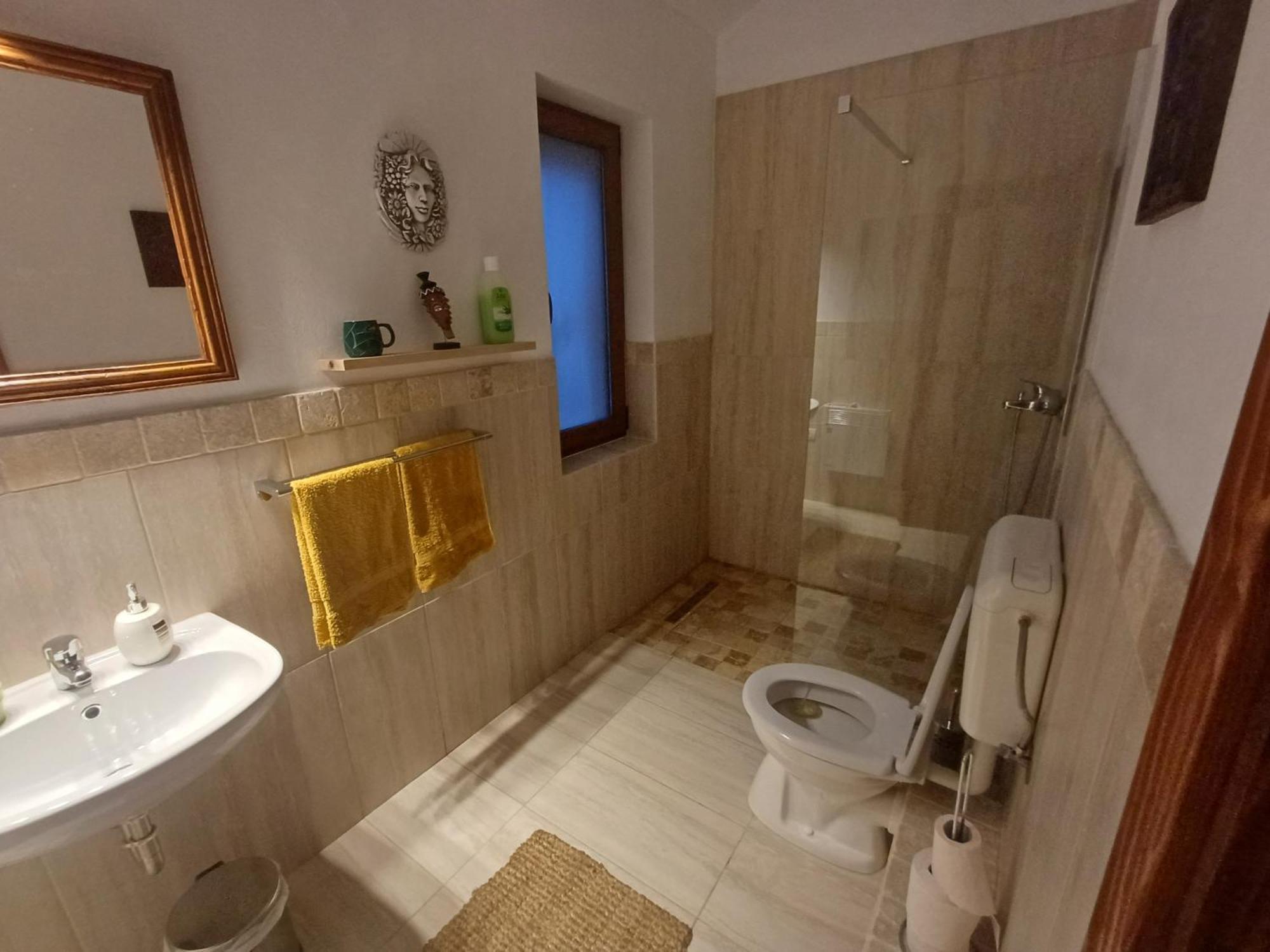 Casa Romana Ieşelniţa Extérieur photo