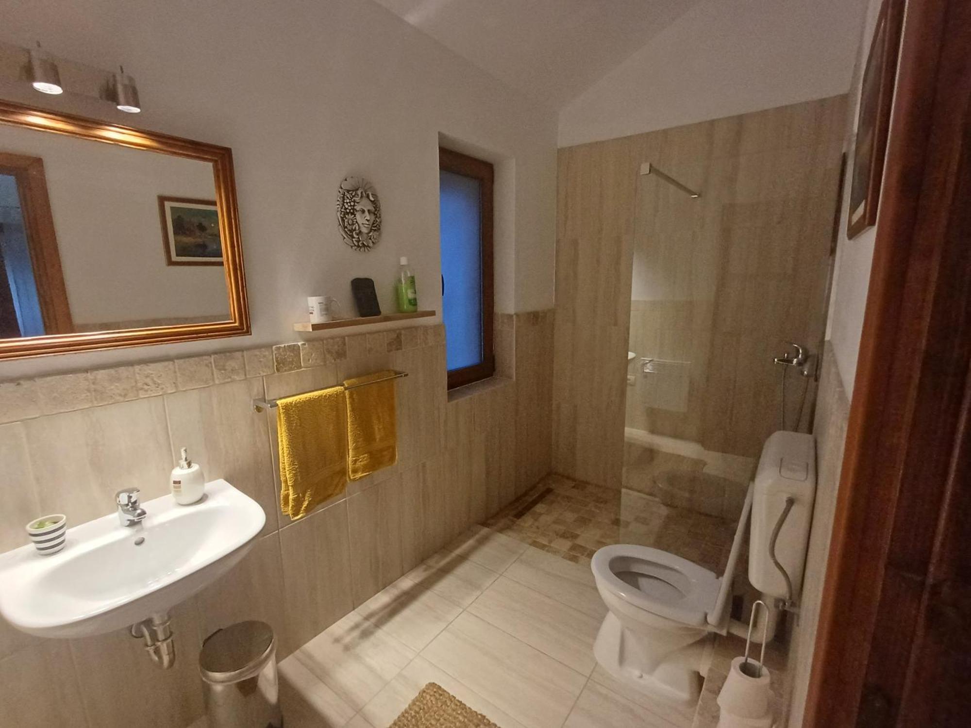 Casa Romana Ieşelniţa Extérieur photo